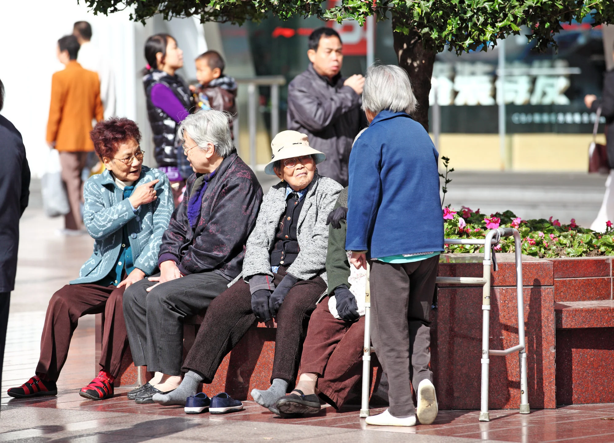 Chinese Woman Praised for Care of Elderly Grandfather, Video Goes Viral -  Beijing Times