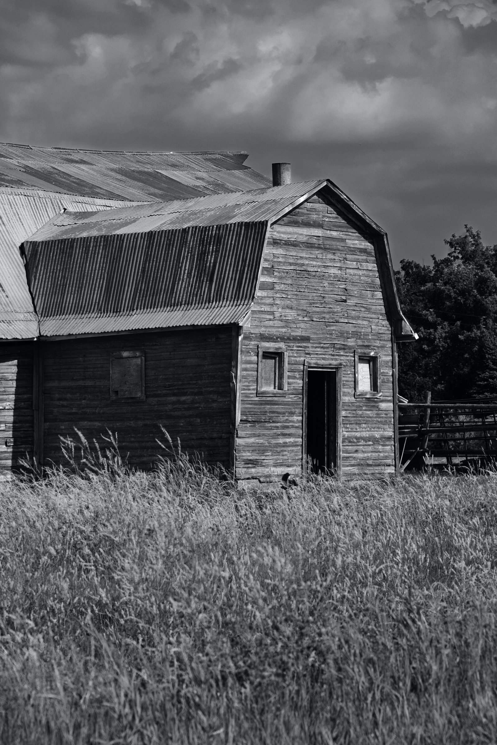 pexels-deneen-lt-8737534