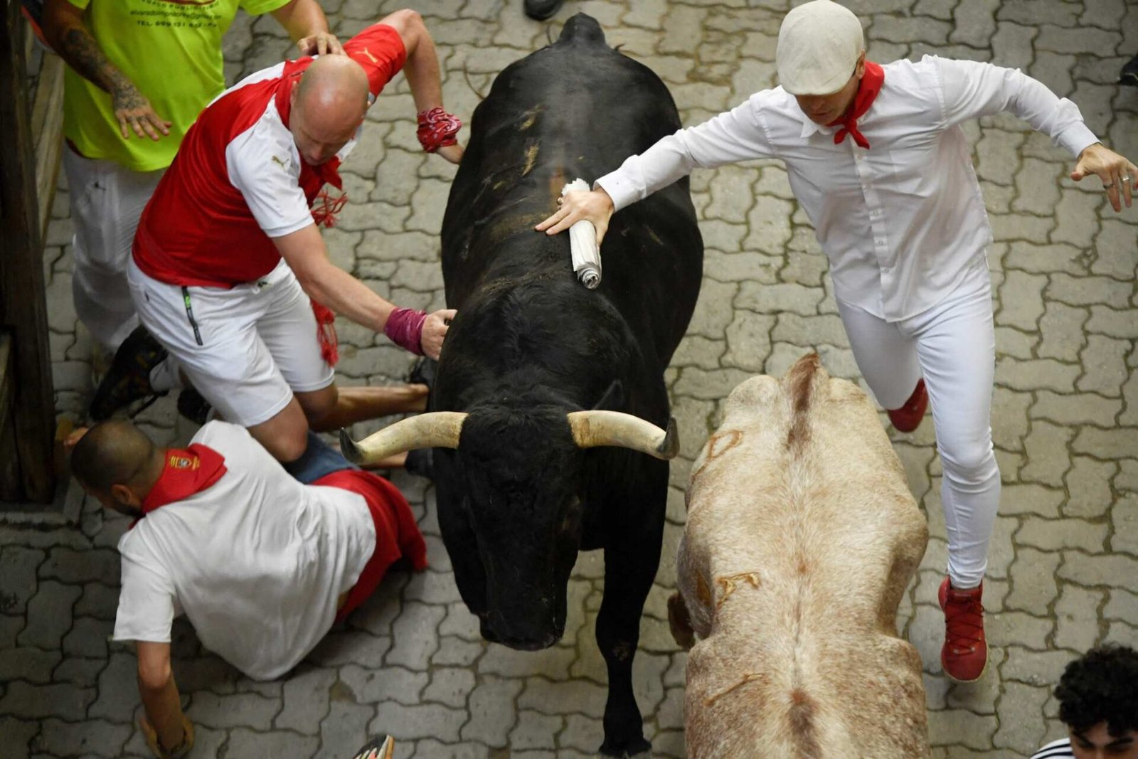 6a376267-0863-488c-84b9-8a8d87443dbd_bfa7f31b Participants run with a bull during the Sanfermines, in Pamplona, in July 2023.
