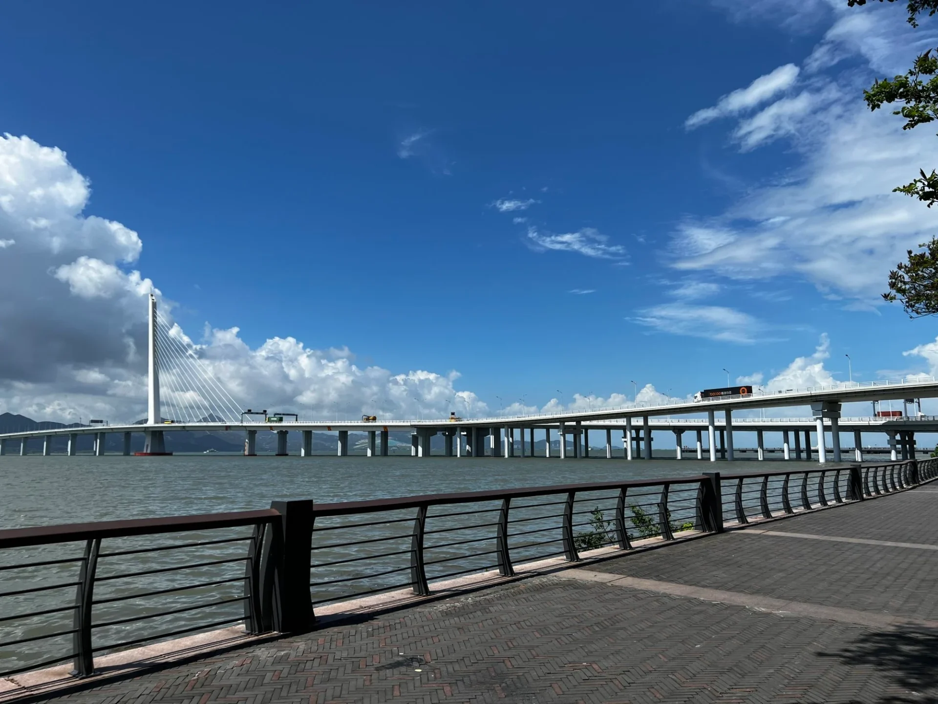 ae894fc4-7e3f-4e60-81f1-3c7f329ca2c2_b3ee84ec The Shenzhen Bay Bridge can be seen from Shenzhen Bay Park.