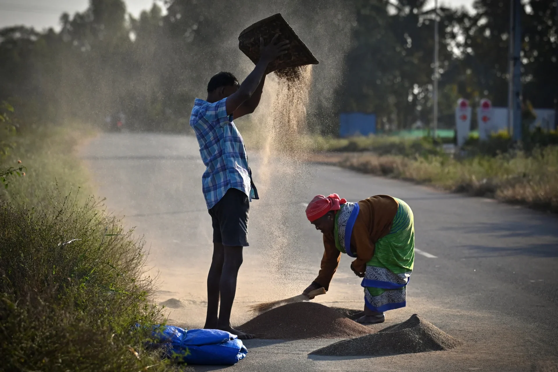 A farmer winnows millet before storing it in Bangalore, India.