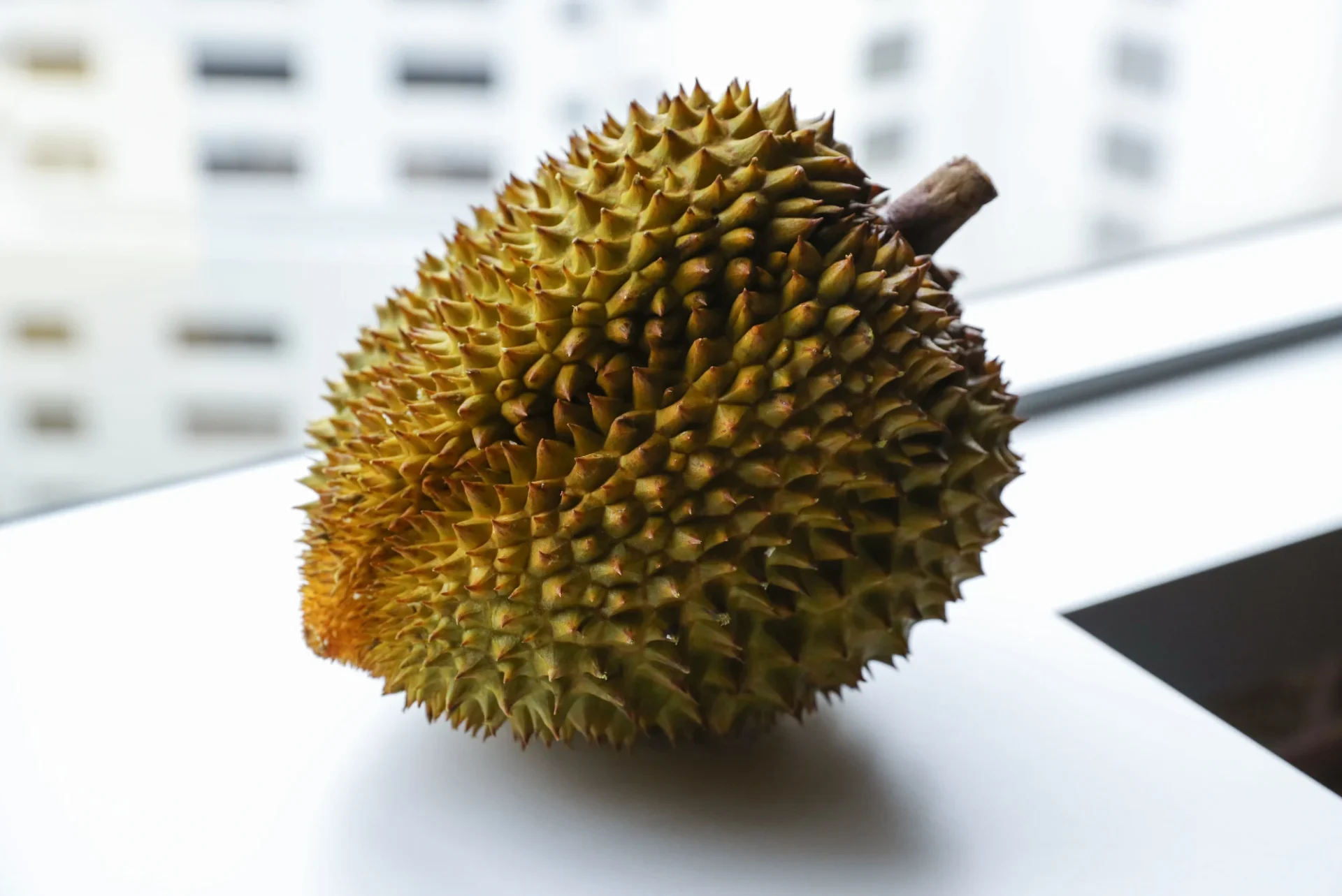 durian