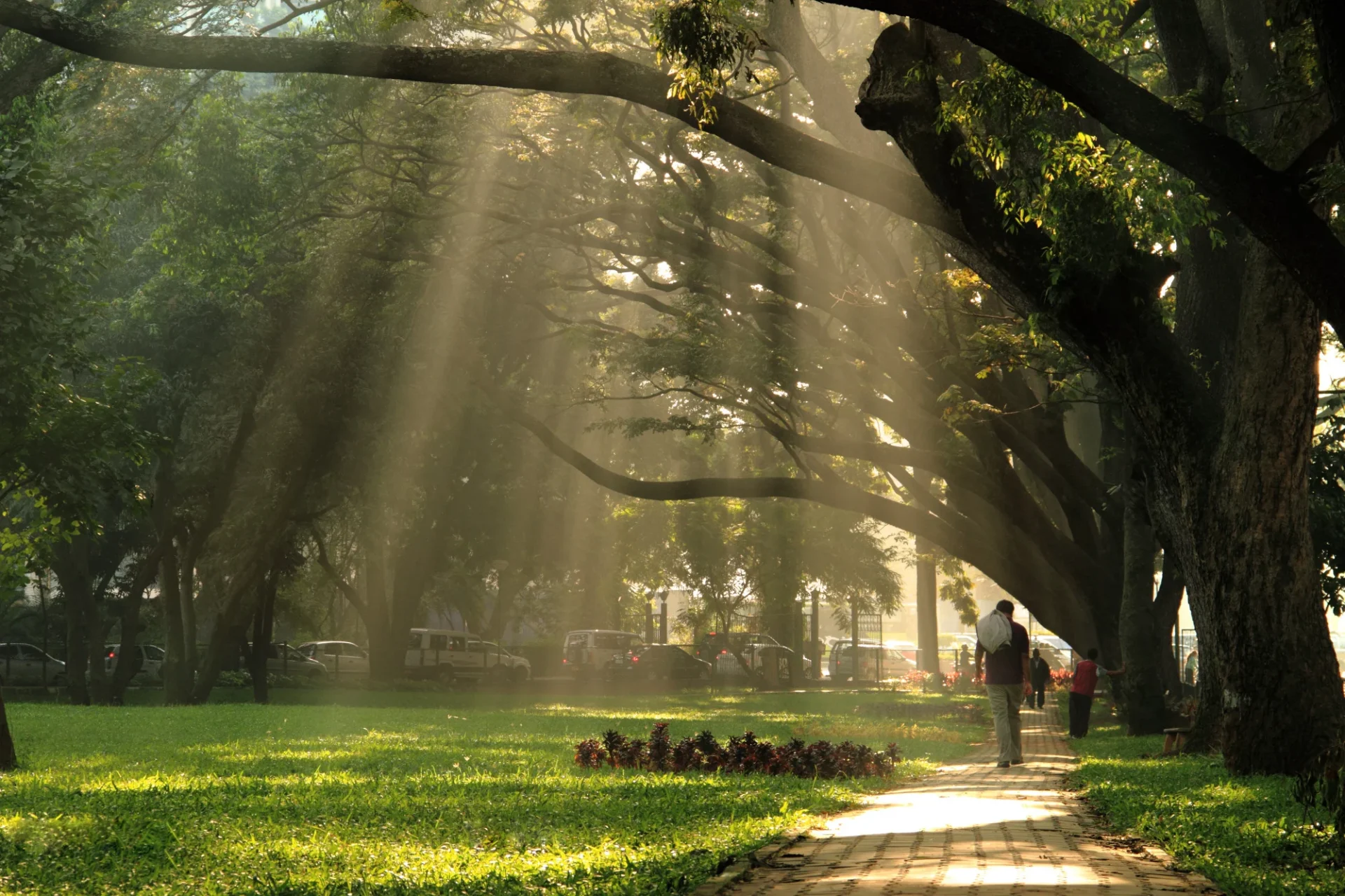 Bangalore's Cubbon Park.