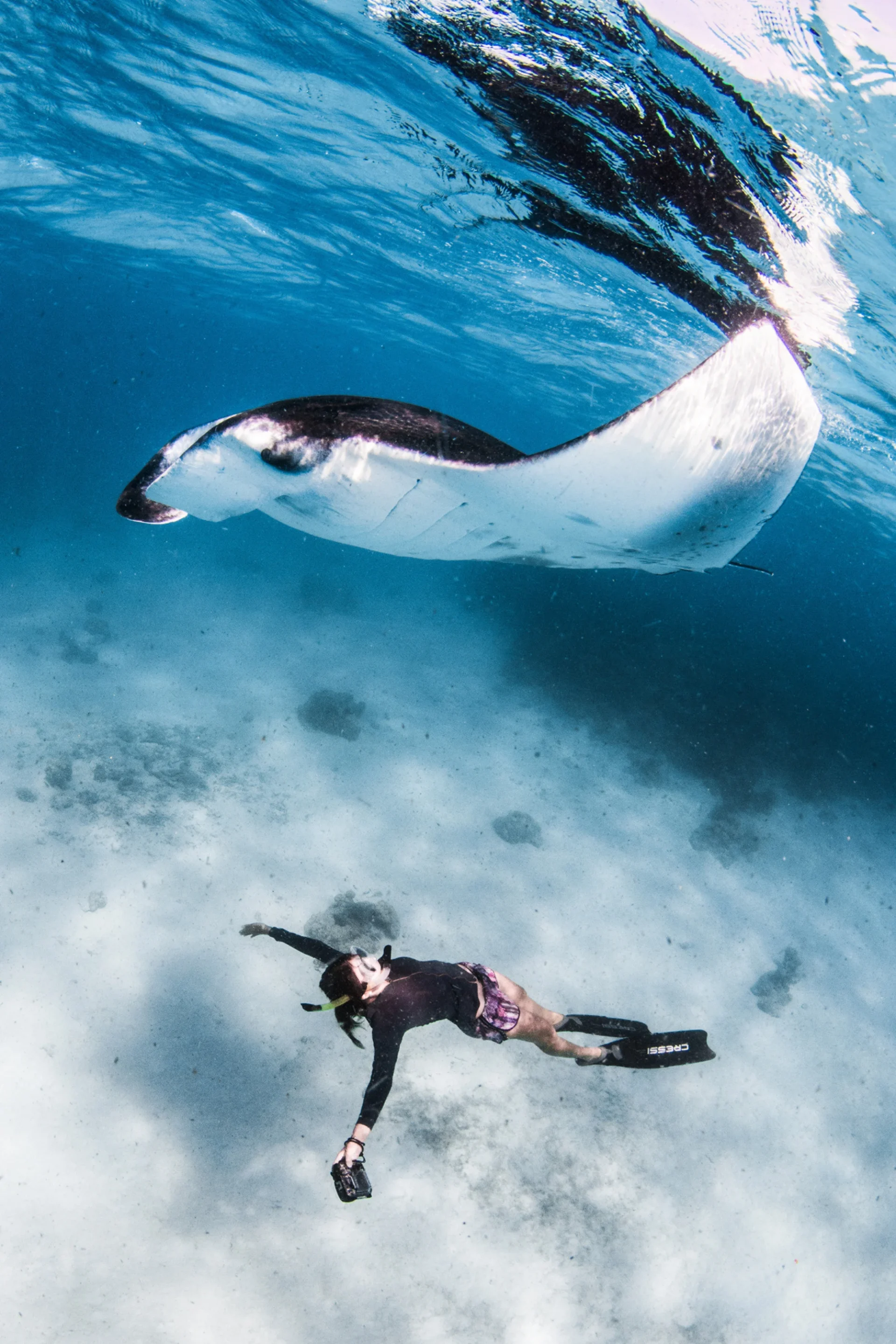 Photo by Four Seasons Maldives.
