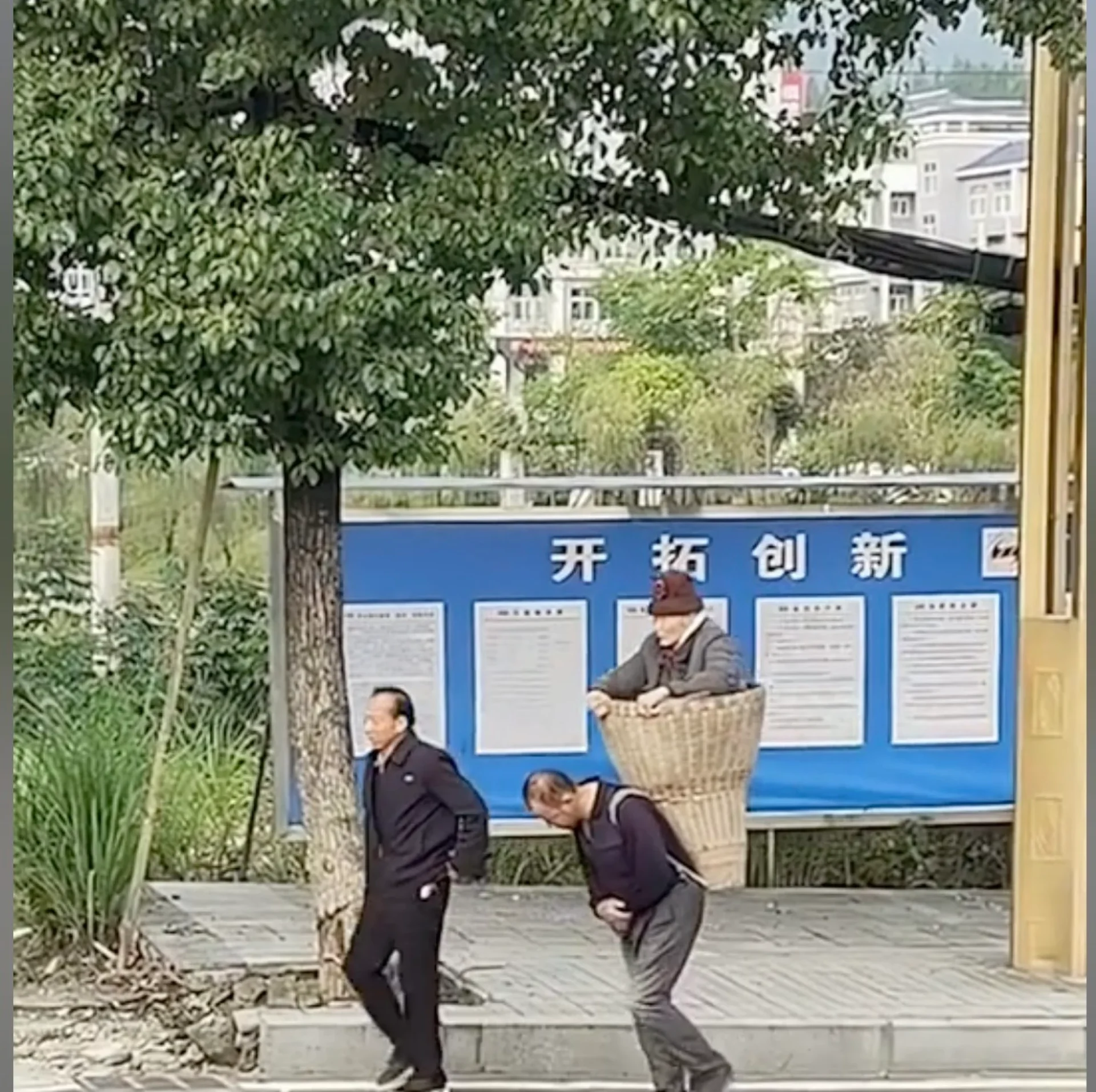 The 89-year-old mother suffers from motion sickness and finds the bamboo basket a much more comfortable way to travel. Photo: Douyin