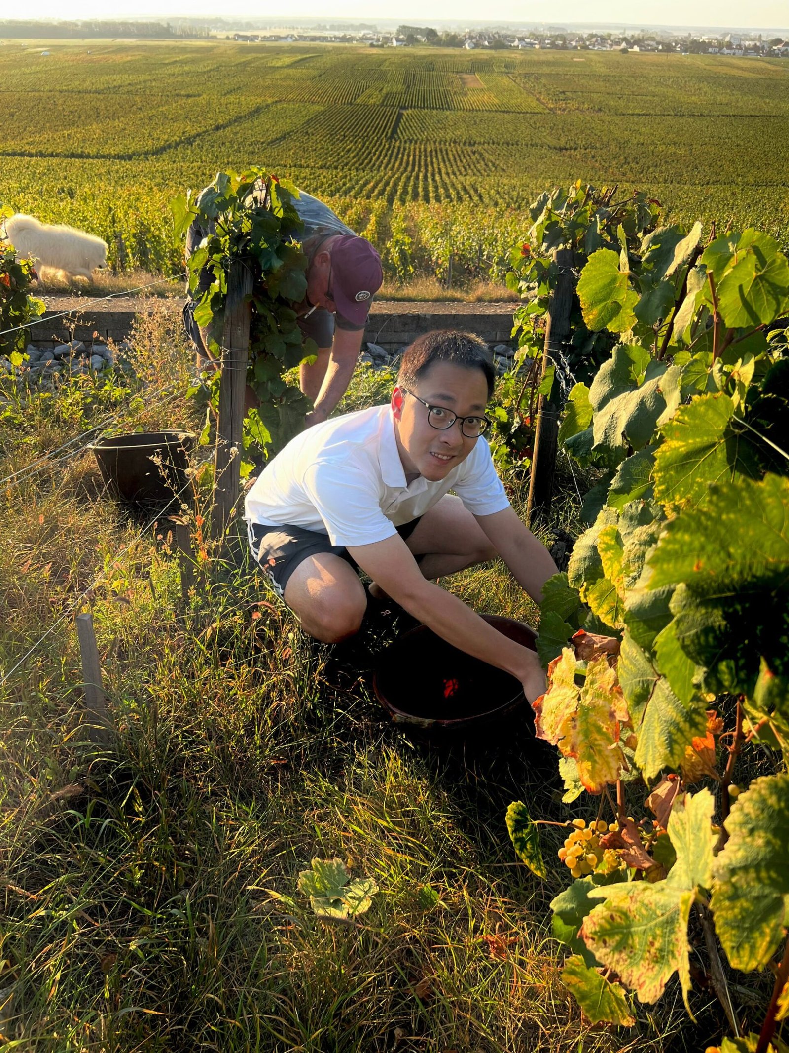 Photo: courtesy of Mason Ng