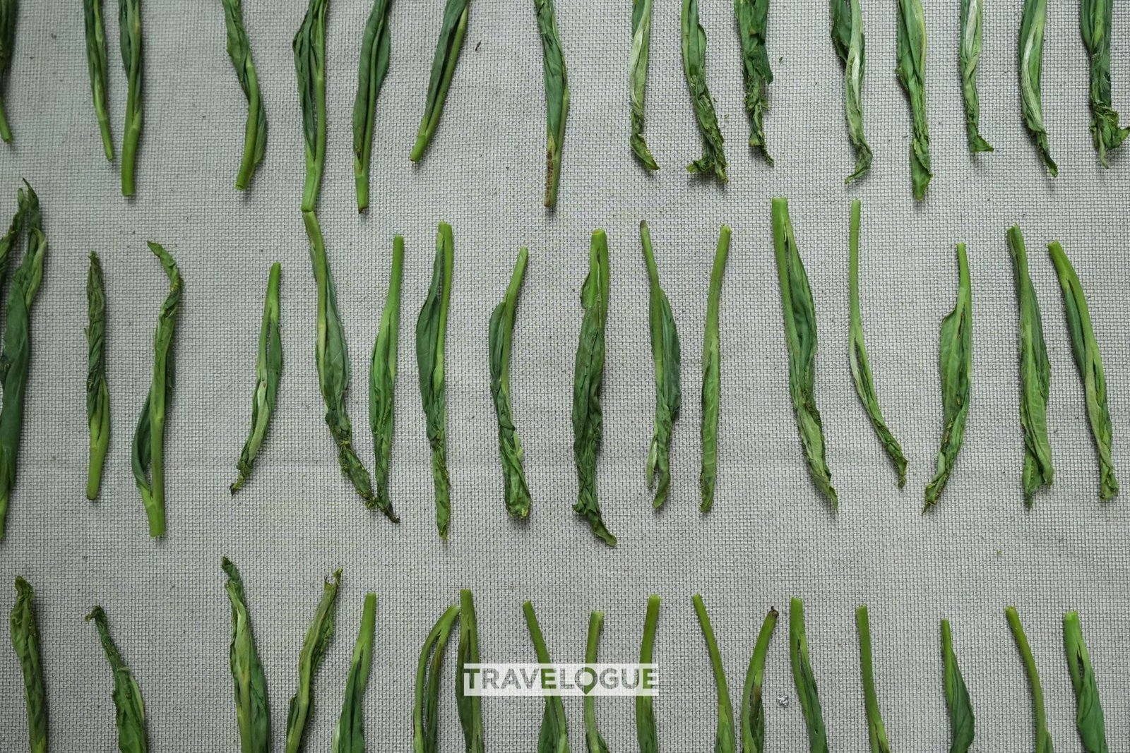 c28619d4163a4481954c1b4286321aeb