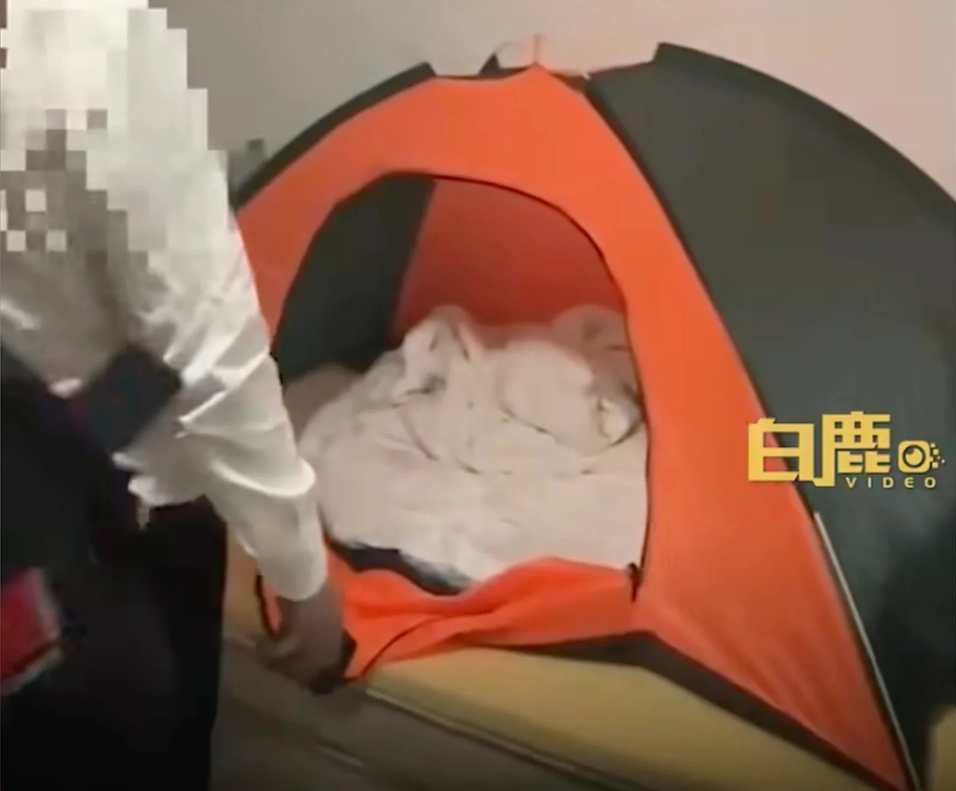 Security guards in the shopping mall turned a blind eye to the boy who was studying for crucial national exams. Photo: Douyin