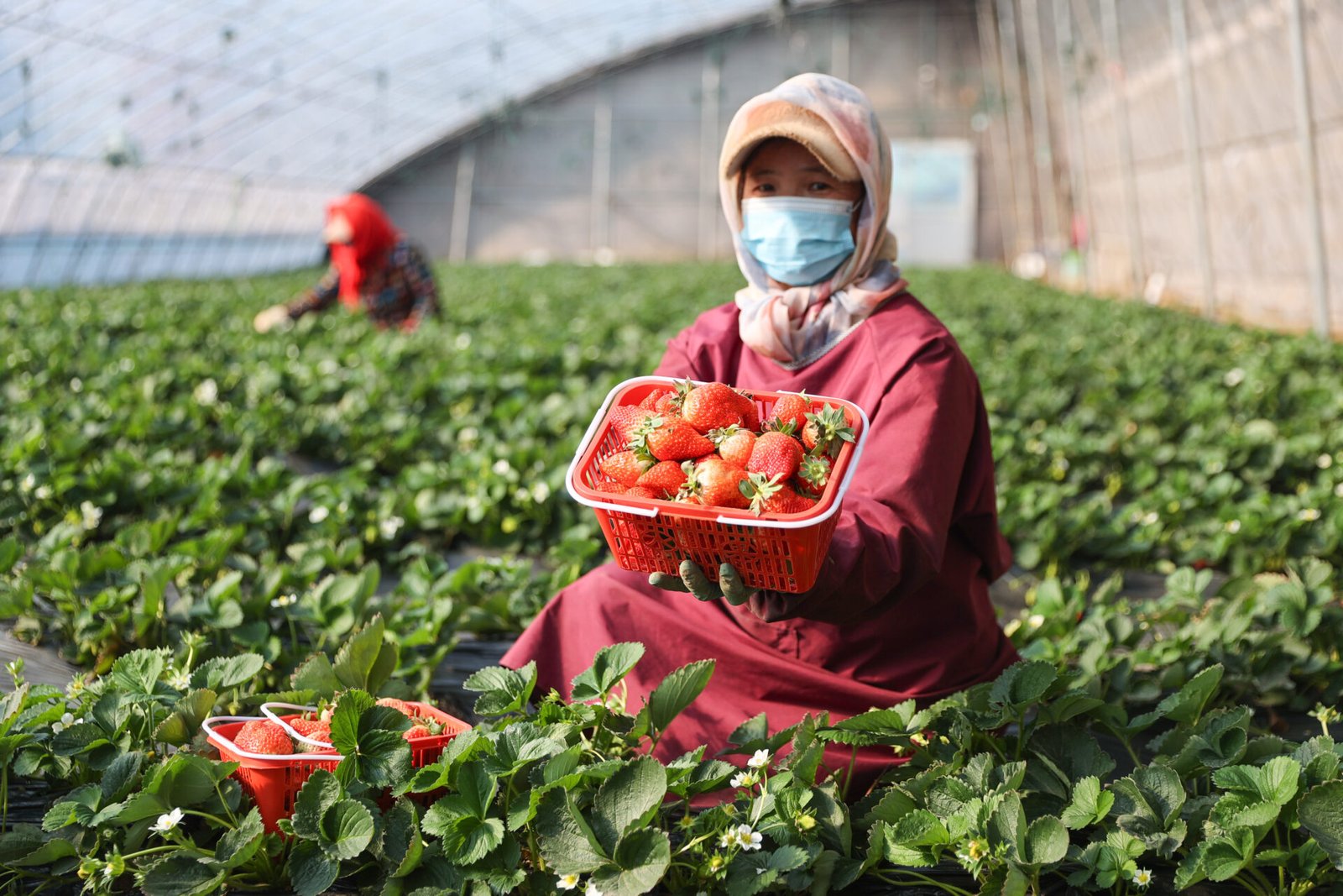 d3b3d2182c7340b7bde3244919b98e9a