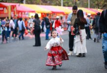 Revival of the Mamianqun: Embracing Traditional Chinese Fashion