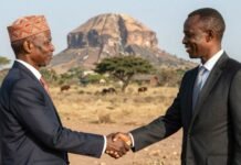 UNESCO and China leaders shake hands with African heritage site.