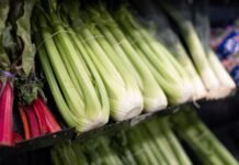 Michigan Faces Major Cyclospora Outbreak as Experts Point to Food Supply Consolidation