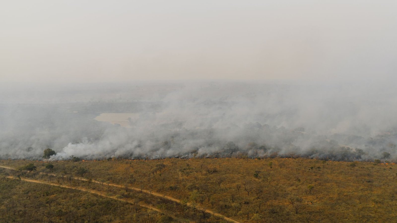 Borneo Wildfire Haze Sickens Thousands as Pontianak Air Index Tops 1,100